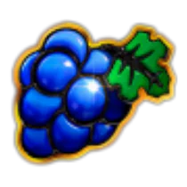 Grapes_win